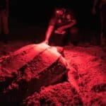 Las Cuevas Eco Friendly Association Tour