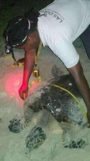 Las Cuevas Eco Friendly Association Tour